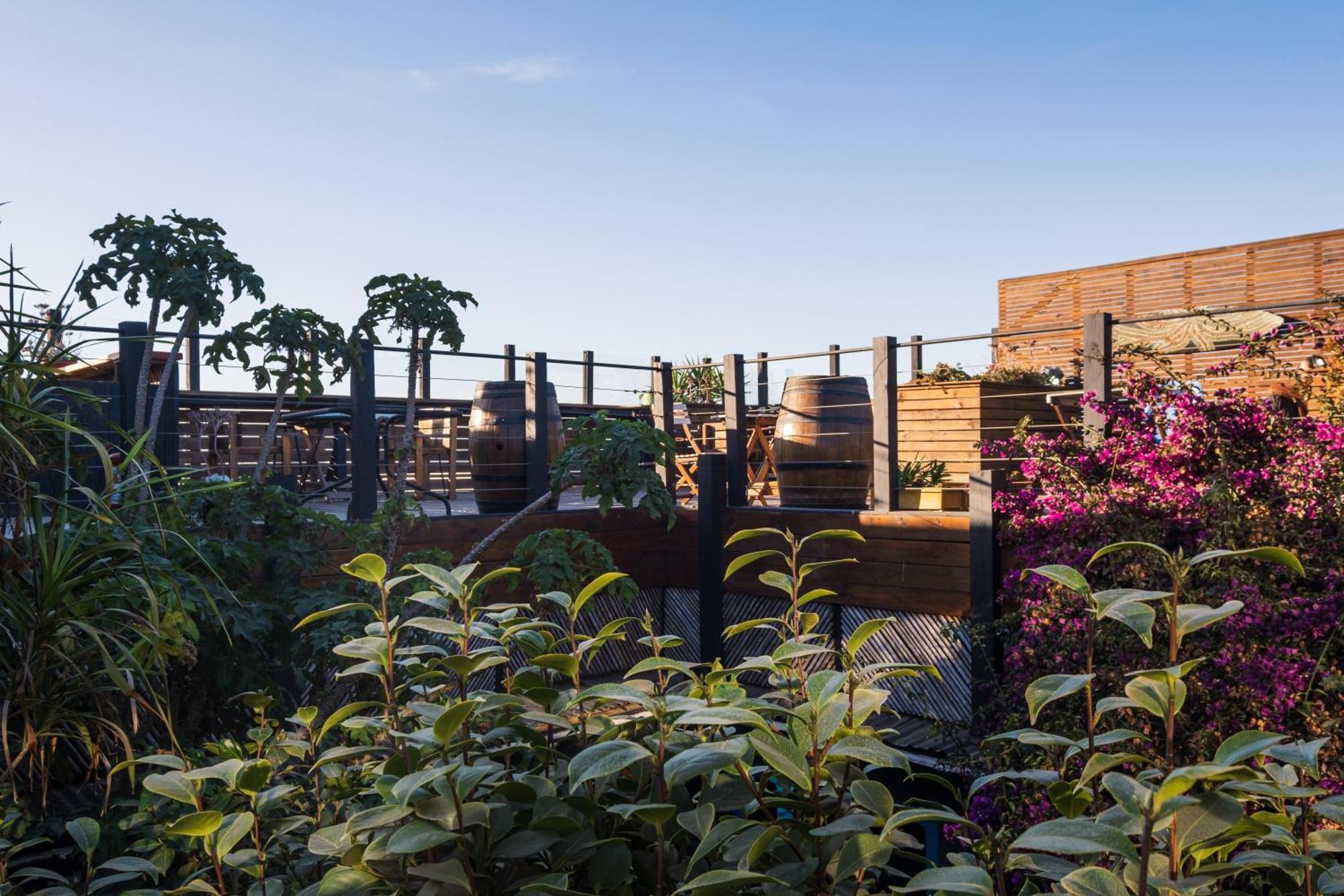 Loef Hostal Pichilemu Bagian luar foto